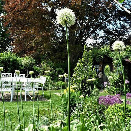 Le Jardin Des Miroirs Esneux Exterior foto
