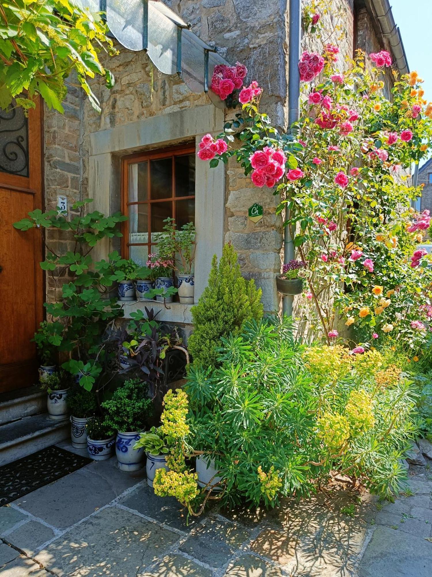 Le Jardin Des Miroirs Esneux Exterior foto